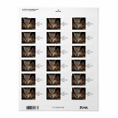 onderzoekers kijken naar uil etiket (Full Sheet)