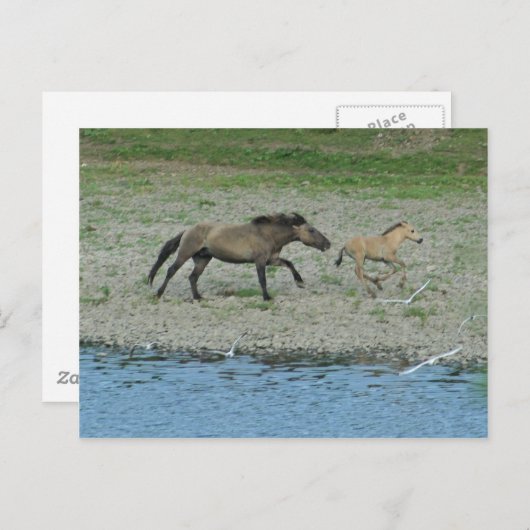 ondeugend briefkaart (Voorkant / Achterkant)