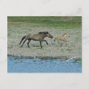 ondeugend briefkaart