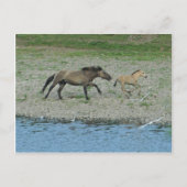 ondeugend briefkaart (Voorkant)