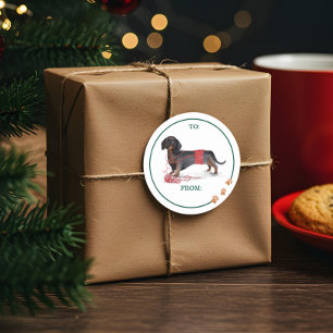 Ondeugend Dog Waterverf Dachshund Versnipperde Swe Ronde Sticker