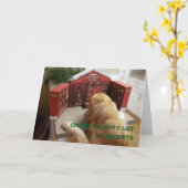 Ondeugend Golden Retriever Geen Spijt Kerstmis Kaart (Gele Bloem)