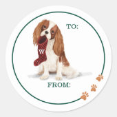 Ondeugend Hond Waterverf Cavalier Spaniel Kous Ronde Sticker (Voorkant)