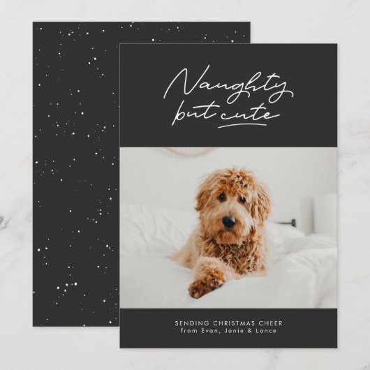 Ondeugend maar schattig grappig Kerst huisdier fot Feestdagenkaart (Voorkant / Achterkant)