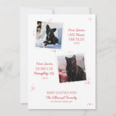 Ondeugend of Leuk Huisdier Grappige Kerst Kaart (Voorkant)