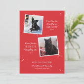 Ondeugend of Leuk Huisdier Grappige Kerst Kaart (Staand voorkant)