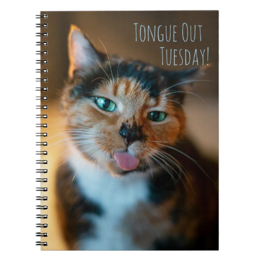 Ondeugende Calico Kat Tong Uit Notitieboek (Voorkant)