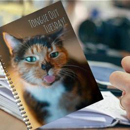 Ondeugende driekleurige kat tong uit notebook notitieboek