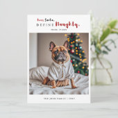 Ondeugende Grappige Hond Foto Kalligrafie Kerstmis Feestdagenkaart (Staand voorkant)