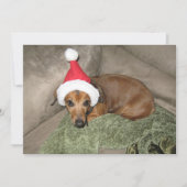 Ondeugende lijst - Reluctant Santa Dachshund Feestdagenkaart (Voorkant)