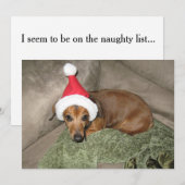 Ondeugende lijst - Reluctant Santa Dachshund Feestdagenkaart (Voorkant / Achterkant)