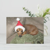 Ondeugende lijst - Reluctant Santa Dachshund Feestdagenkaart (Staand voorkant)