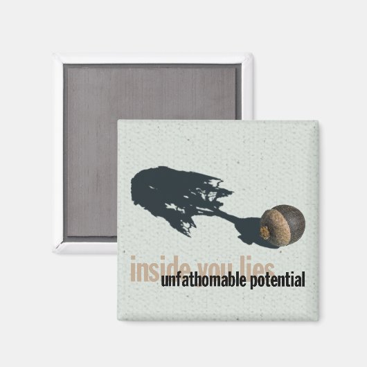 "Ondoorgrondelijke potentiële" koelkastmagneet Magneet (Voorkant / Achterkant)