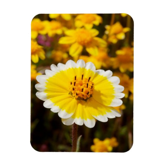 Ondoorgrondelijke Wildflowers Magneet (Verticaal)