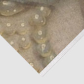 Ondoorzichtig papier (Detail)