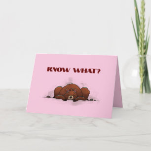 ONDRAAGLIJK MISSEN JE KAART