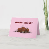 ONDRAAGLIJK MISSEN JE KAART (Voorkant)