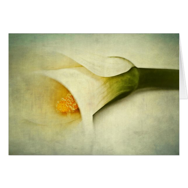 onduidelijk (Voorkant Horizontaal)