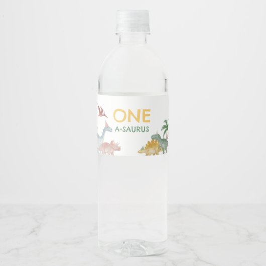 One A Saurus Dinosaur Boy Birthday  Waterfles Etiket (Voorkant)