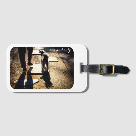 one and only 犬と散歩のラゲッジタグ bagagelabel (Voorkant (horizontaal))