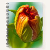 One Bud Notitieboek (Voorkant)