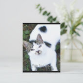 One Cool Cat (Girl) Briefkaart (Staand voorkant)