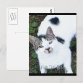 One Cool Cat (Girl) Briefkaart (Voorkant / Achterkant)