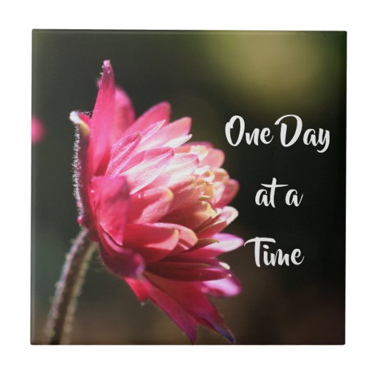 One Day At A Time Quote Flower In Sunlight Tegeltje (Voorkant)