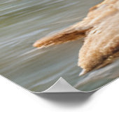 One Day in the Woods Poster (Hoek)