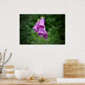One Foxglove Down Light Poster (Keuken)