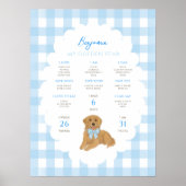One Golden Year Puppy Dog 1st Birthday Milestone Poster (Voorkant)