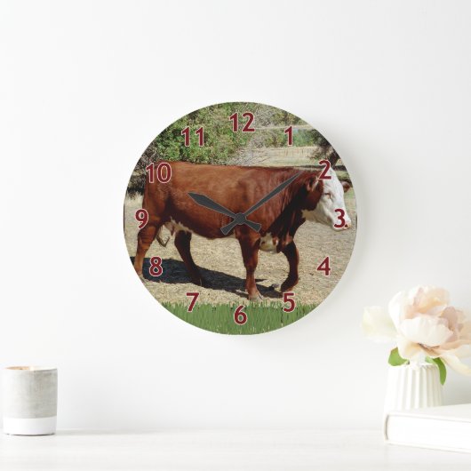 One Heifer-Koe Grote Klok (Huis)