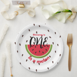 One in a Melon 1st Birthday Party Papieren Bordje