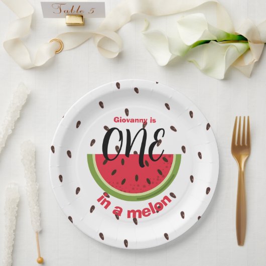 One in a Melon 1st Birthday Party Papieren Bordje (Huwelijk)