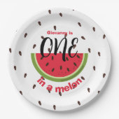 One in a Melon 1st Birthday Party Papieren Bordje (Voorkant)
