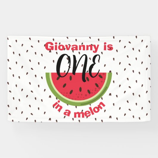 One in a Melon 1st Birthday Party Spandoek (Horizontaal)