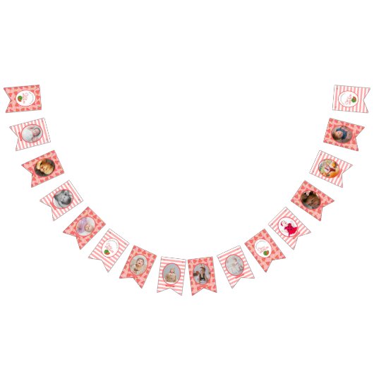 One In A Melon 1st Birthday Watermeloen Foto Bunt Vlaggetjes (Alle)