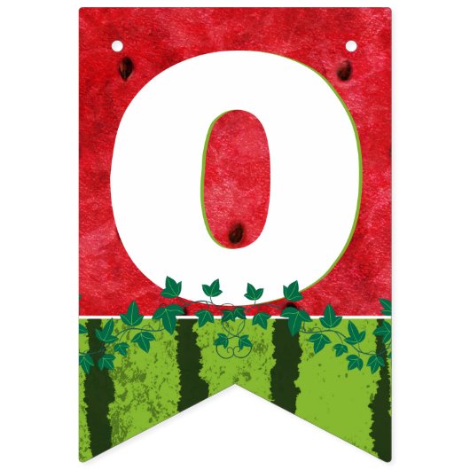 ONE in a Melon Leuke Watermeloen 1e Verjaardag Fot Vlaggetjes (Tweede vlag)