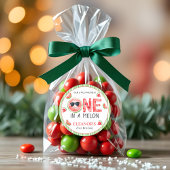 One in a melon watermelon summer 1st Birthday Ronde Sticker