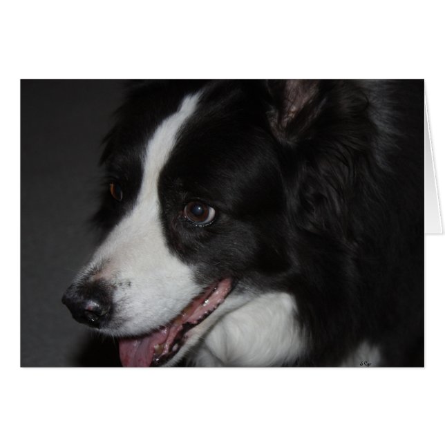 One Lady (Voorkant Horizontaal)