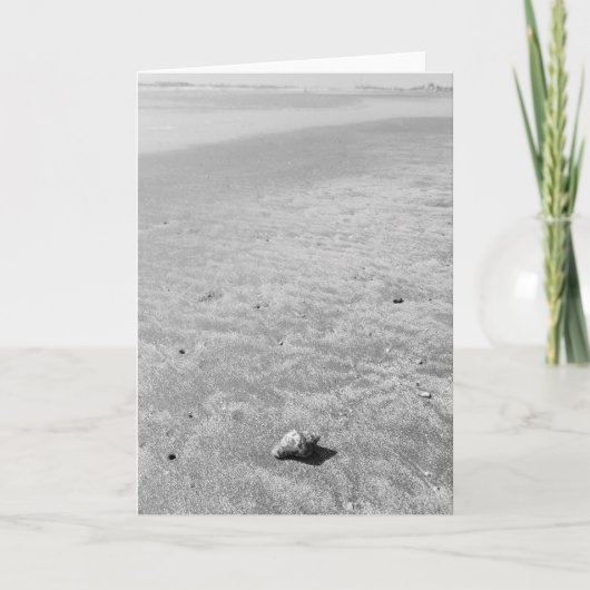 One Little Seashell Blank Wenskaart Kaart (Voorkant)