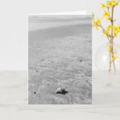 One Little Seashell Blank Wenskaart Kaart (Gele Bloem)