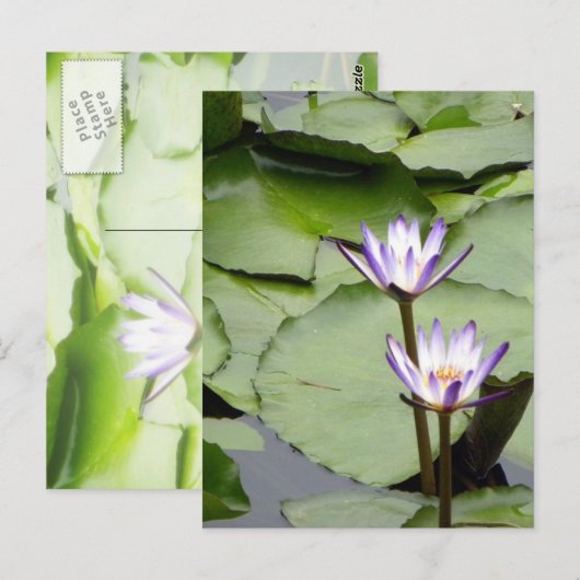 One/Lotus Blooms All-Occasion Groeten Briefkaart (Voorkant / Achterkant)