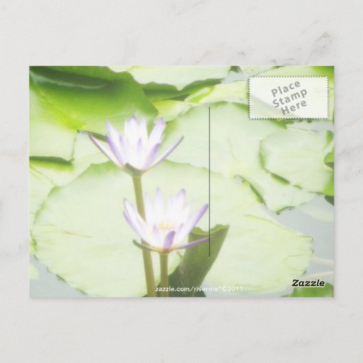 One/Lotus Blooms All-Occasion Groeten Briefkaart (Achterkant)