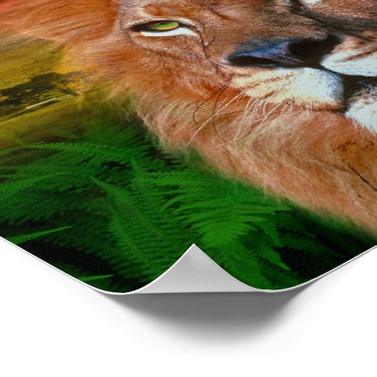 One Love Lion II - Poster / afdrukken (Hoek)