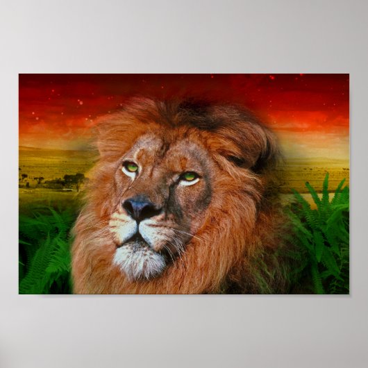 One Love Lion II - Poster / afdrukken (Voorkant)