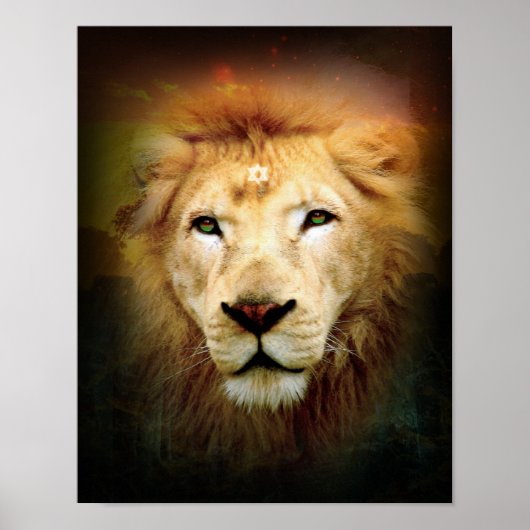 One Love Lion - Poster / afdrukken (Voorkant)