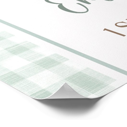 One Lucky Duck Green Gingham 1e verjaardag Welkom Poster (Hoek)