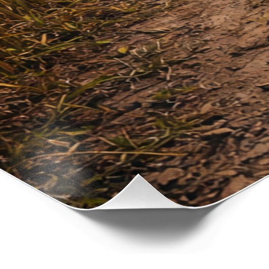 One Path Forward – Minimalist Symbolic Landscape Perfect Poster (Hoek)