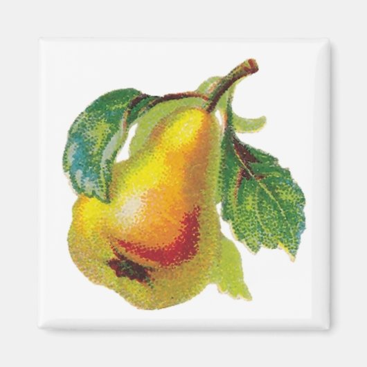 One Pear Magnet (Voorkant)
